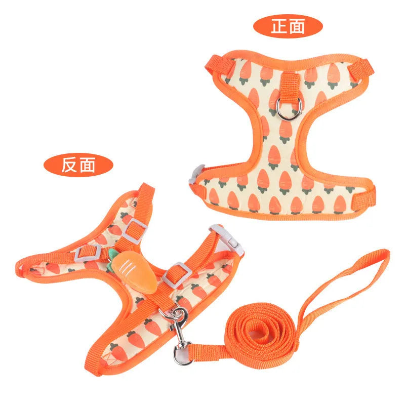 Reflective chest strap vest-style small dog walking lead in avocado colour with hand holding rope