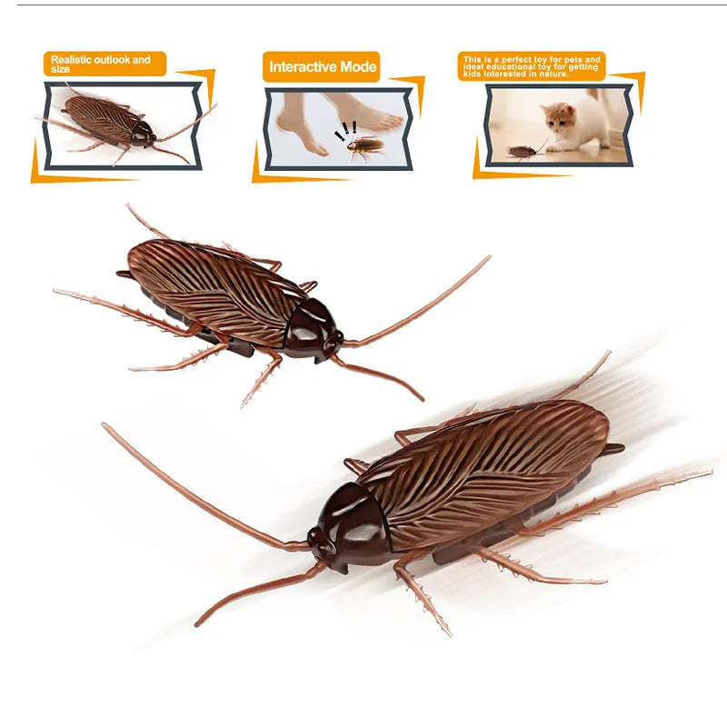 Colourful vibrating cockroach, tarantula, mouse, and dragonfly pet toys for cats and dogs.