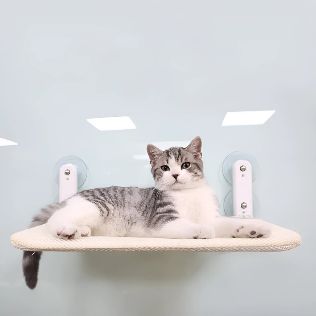 Foldable stainless steel cat hammock with suction cups mounted on window