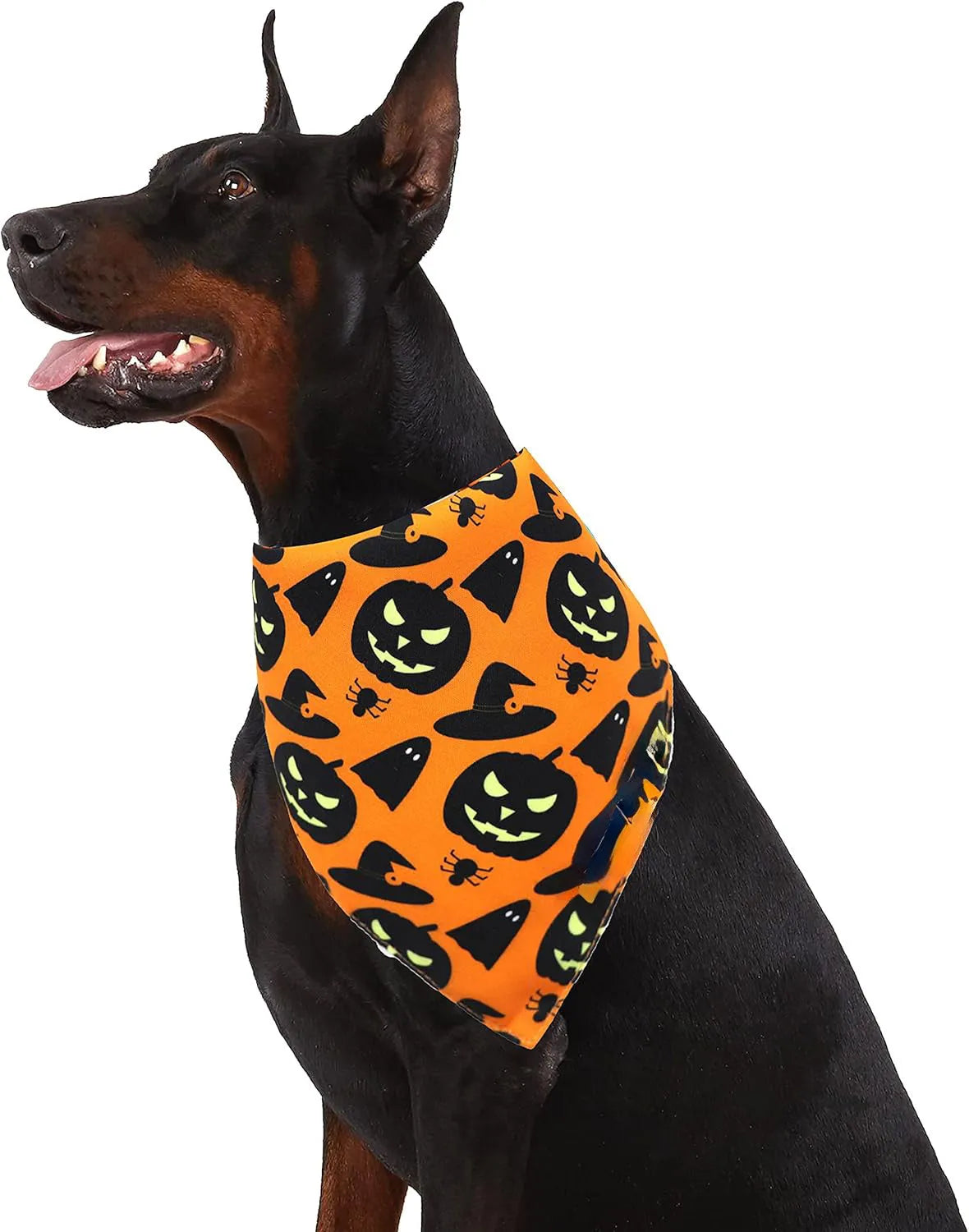 Black and orange reversible triangle dog bandana with Halloween pumpkin and spider web patterns.