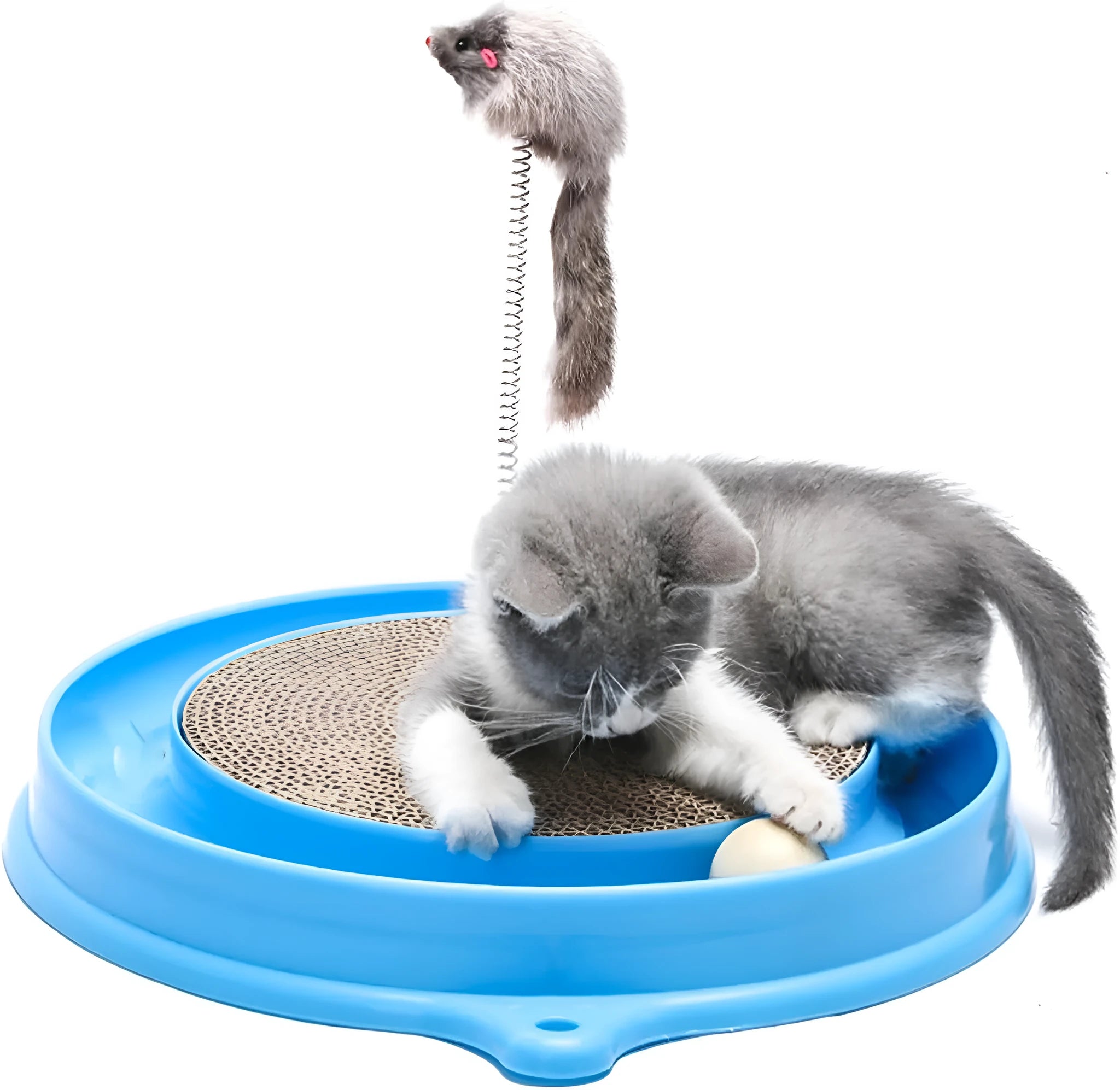 Interactive cat scratcher with rolling ball track and replaceable cardboard centre in blue colour