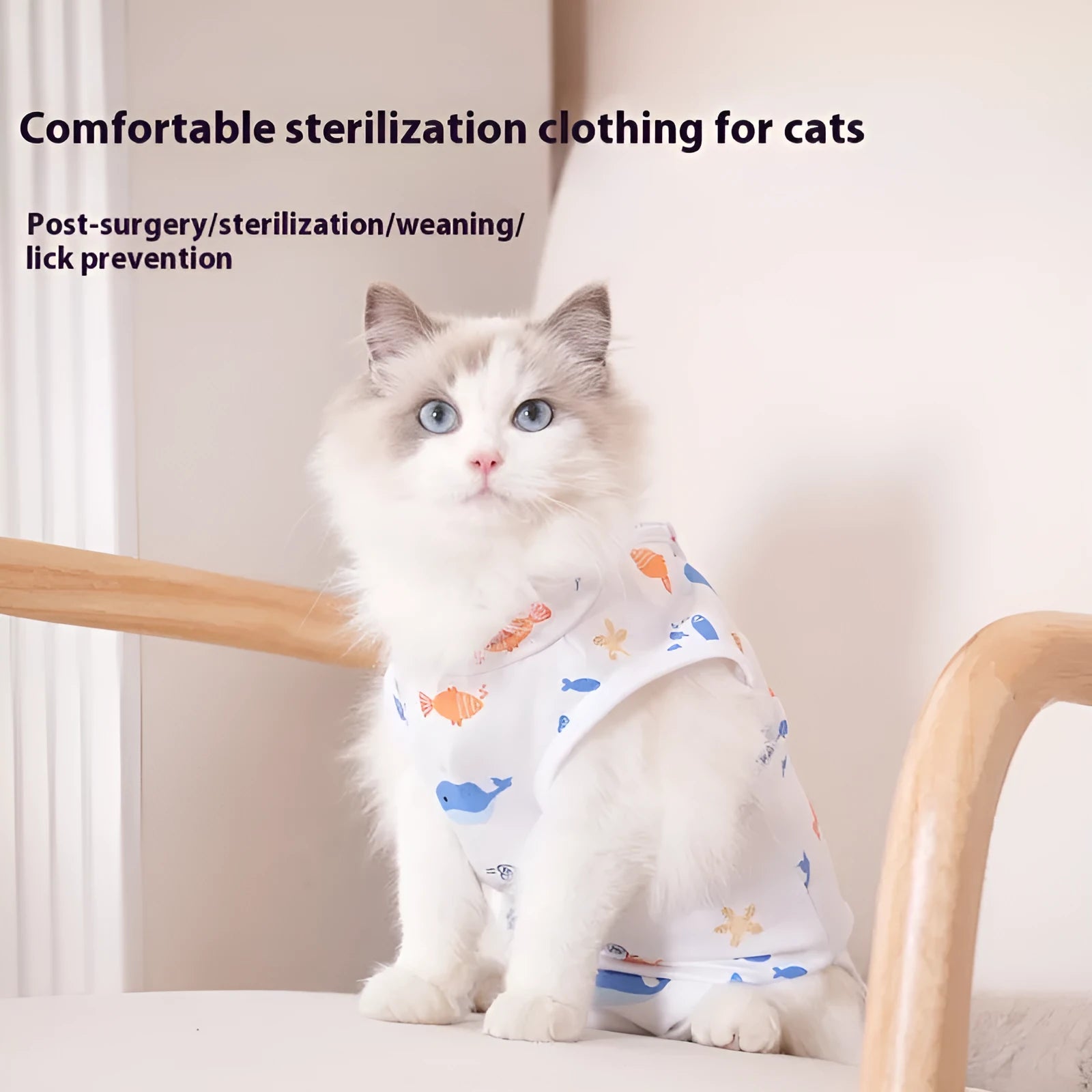 Colourful cat wearing a post-surgery recovery suit with Velcro fastening on its side.