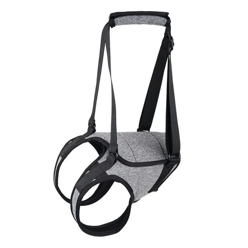 Grey neoprene dog rear leg recovery support belt with adjustable straps shown on size chart.