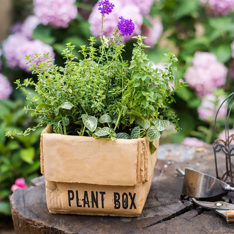 Cement flowerpot with bottom perforation in Nordic style for indoor balcony planting