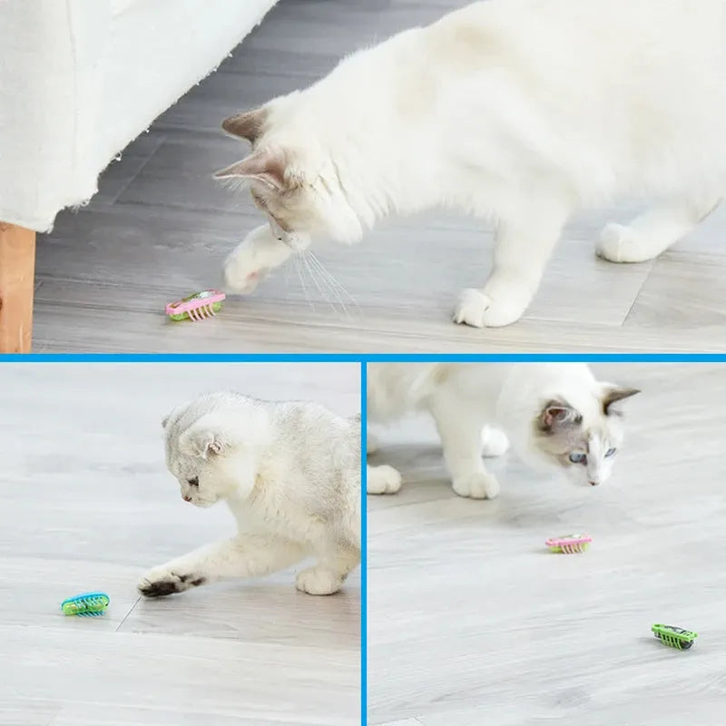 Miniature electric ladybird beetle cat toy on floor showing size and insect shape