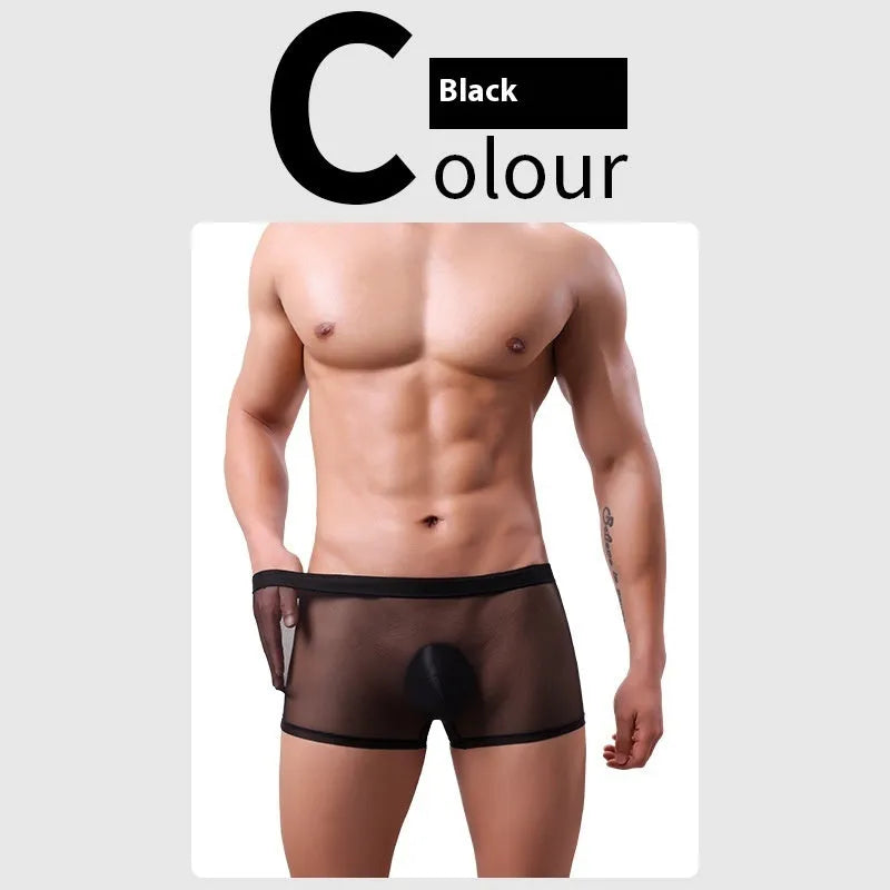Men's thin sheer mesh boxer briefs in low-waist design, shown in multiple colours.