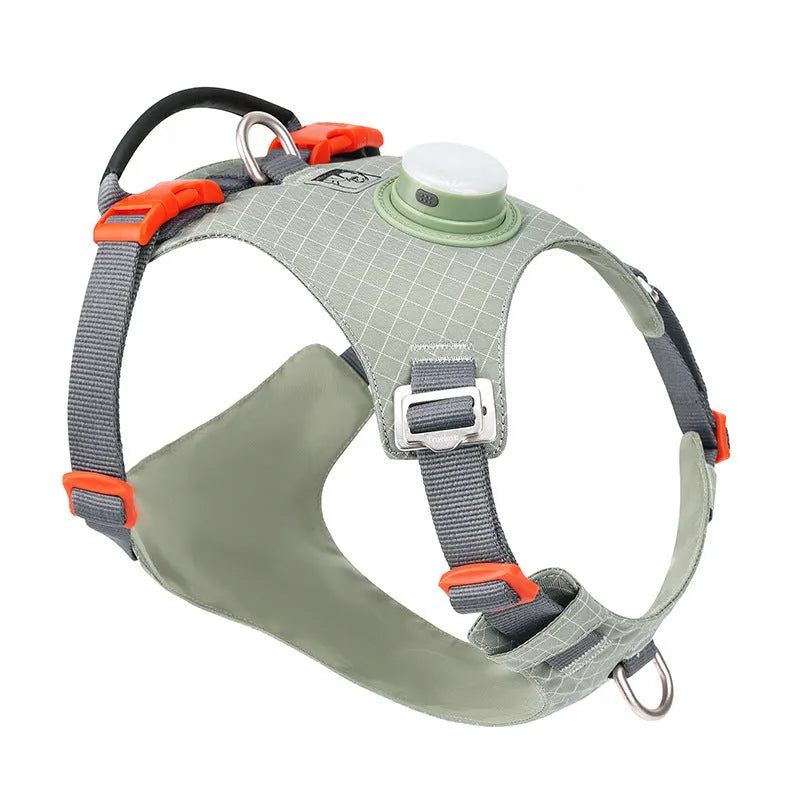 Adjustable nylon dog harness with LED light in various colour options