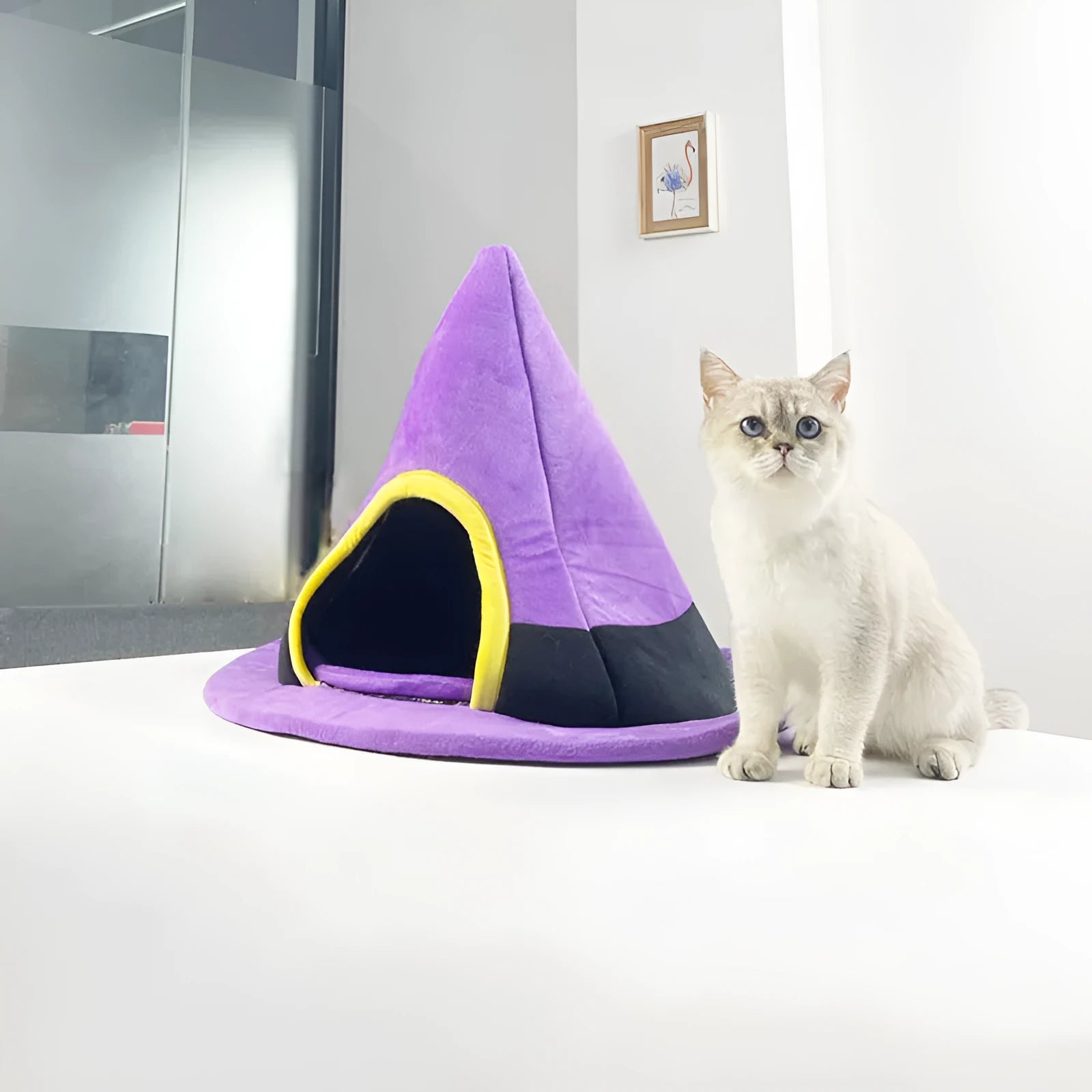 Purple cloth witch hat shaped cat bed for cats, shown with dimensions 60x46cm.