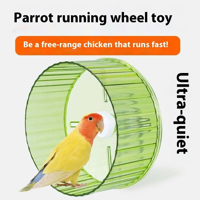 Parrot exercise running wheel toy in plastic with transparent, green, grey, orange, and purple colour options