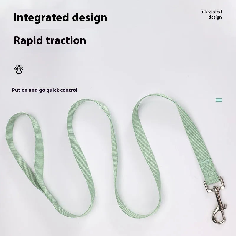 Solid colour nylon dog hand-holding lead showing single-rope construction with clip attachment