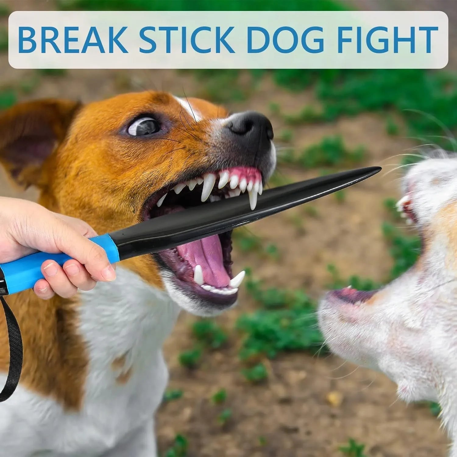 Blue handled nylon dog break stick training tool measuring 35 cm in length.