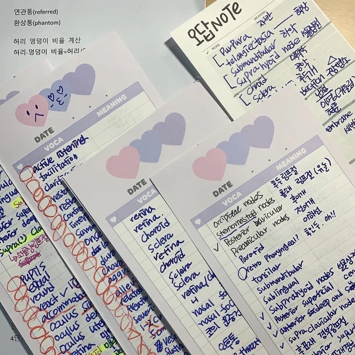 Vertical B5 half-size notepad with double-sided printing in blue, pink, or purple cover colours