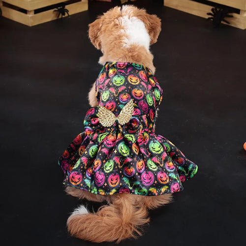 Halloween angel wings dog costume in bright pumpkin colour with polyester construction