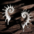 A pair of matte finish conch stud earrings with an exaggerated three-dimensional and irregular design.