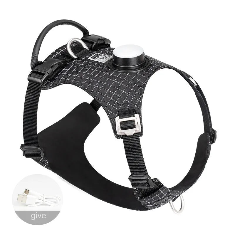 Adjustable nylon dog harness with LED light in various colour options