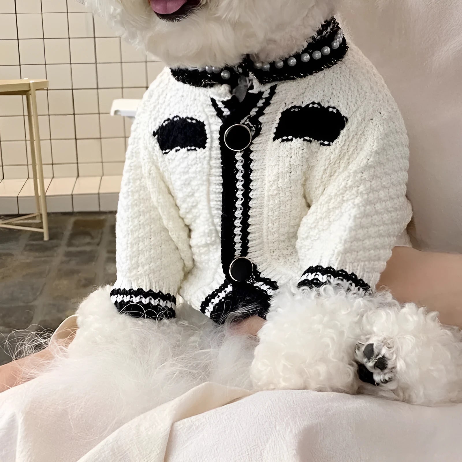 Korean style dog sweater with pearl collar in black or white colour options