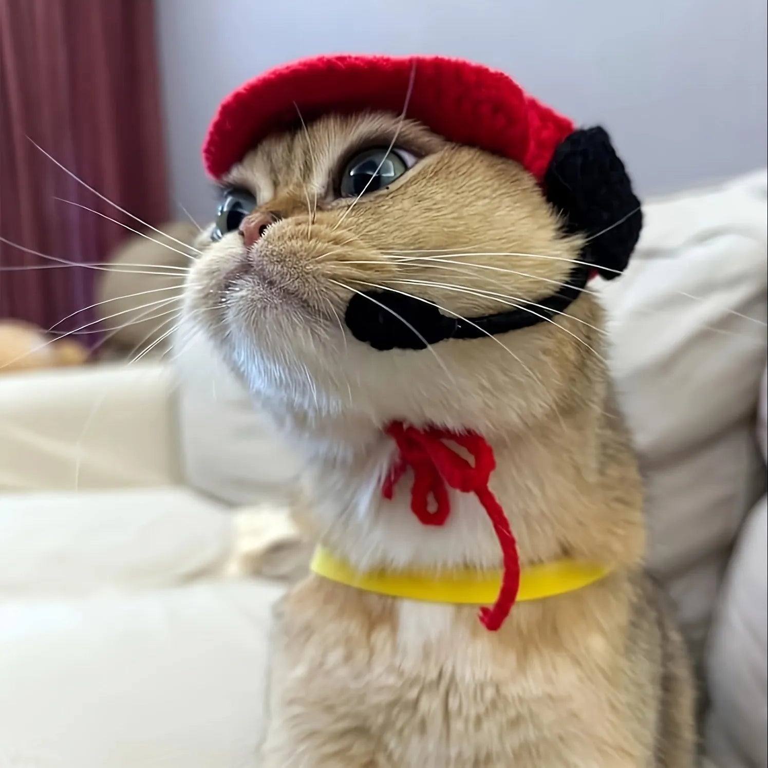Handmade white cat chef hat and knitted sweater pet costume set for birthday parties