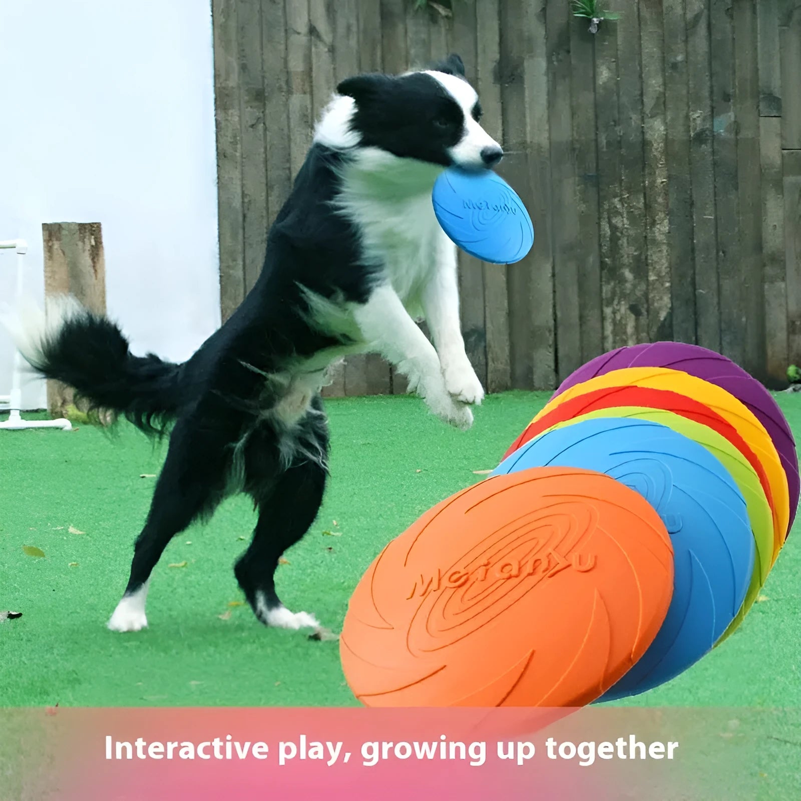 Soft rubber dog frisbee in red, blue and green colour options showing small, medium and large size variations